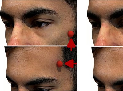 Physics-Based Simulation of Contact-Induced Facial Wrinkling teaser